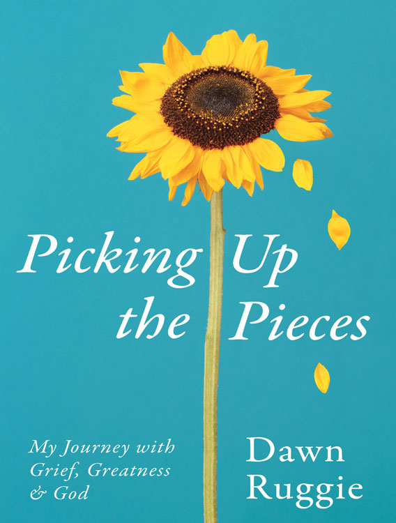 picking up the pieces book cover